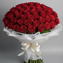 Букет 101 Красная роза Блэк Мэджик в Поселок совхоза Сафоновский