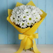 Букет цветов из:  Хризантемы в Поселок совхоза Сафоновский