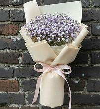 Букет цветов из:  Гипсофила в Поселок совхоза Сафоновский