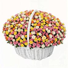 Премиум букет из: Розы в Поселок совхоза Сафоновский