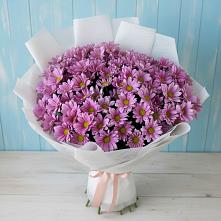 Букет цветов из:  Хризантемы в Поселок совхоза Сафоновский