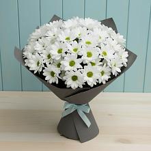 Букет цветов из:  Хризантемы #REPLACE_PRED# Поселок совхоза Сафоновский