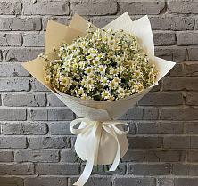 Букет цветов из:  Ромашки в Поселок совхоза Сафоновский