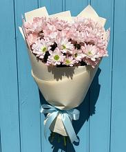 Букет цветов из:  Хризантемы в Поселок совхоза Сафоновский