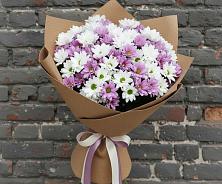 Букет цветов из:  Хризантемы в Поселок совхоза Сафоновский