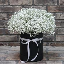 Цветочная композиция из Гипсофила в шляпной коробке в Поселок совхоза Сафоновский