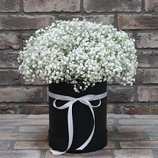 Цветочная композиция из Гипсофила в шляпной коробке в Поселок совхоза Сафоновский