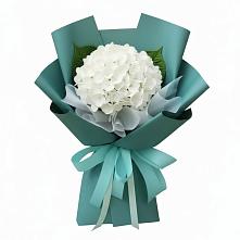 Букет цветов из:  Гортензия в Поселок совхоза Сафоновский